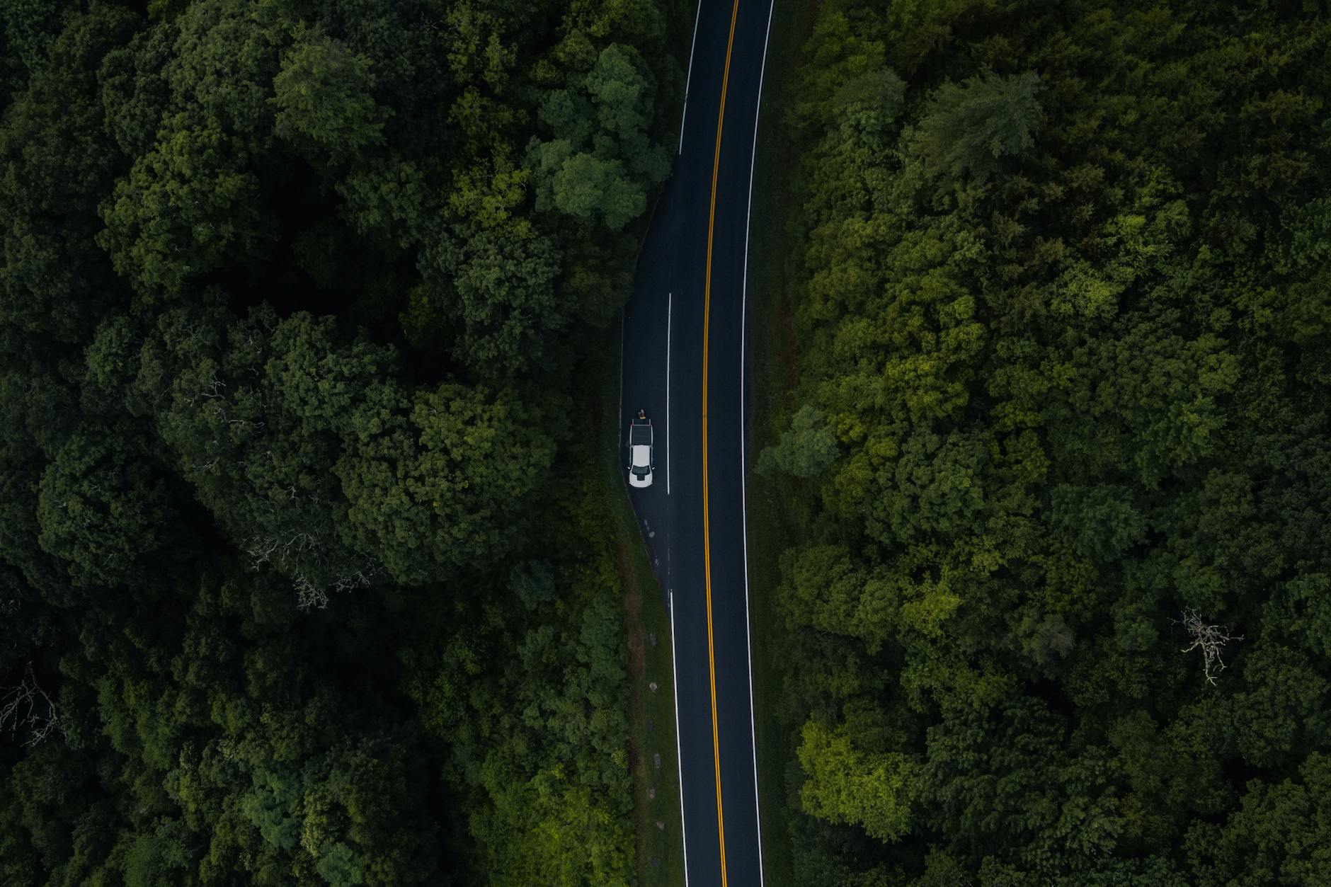 aerial view of forest road in gatlinburg