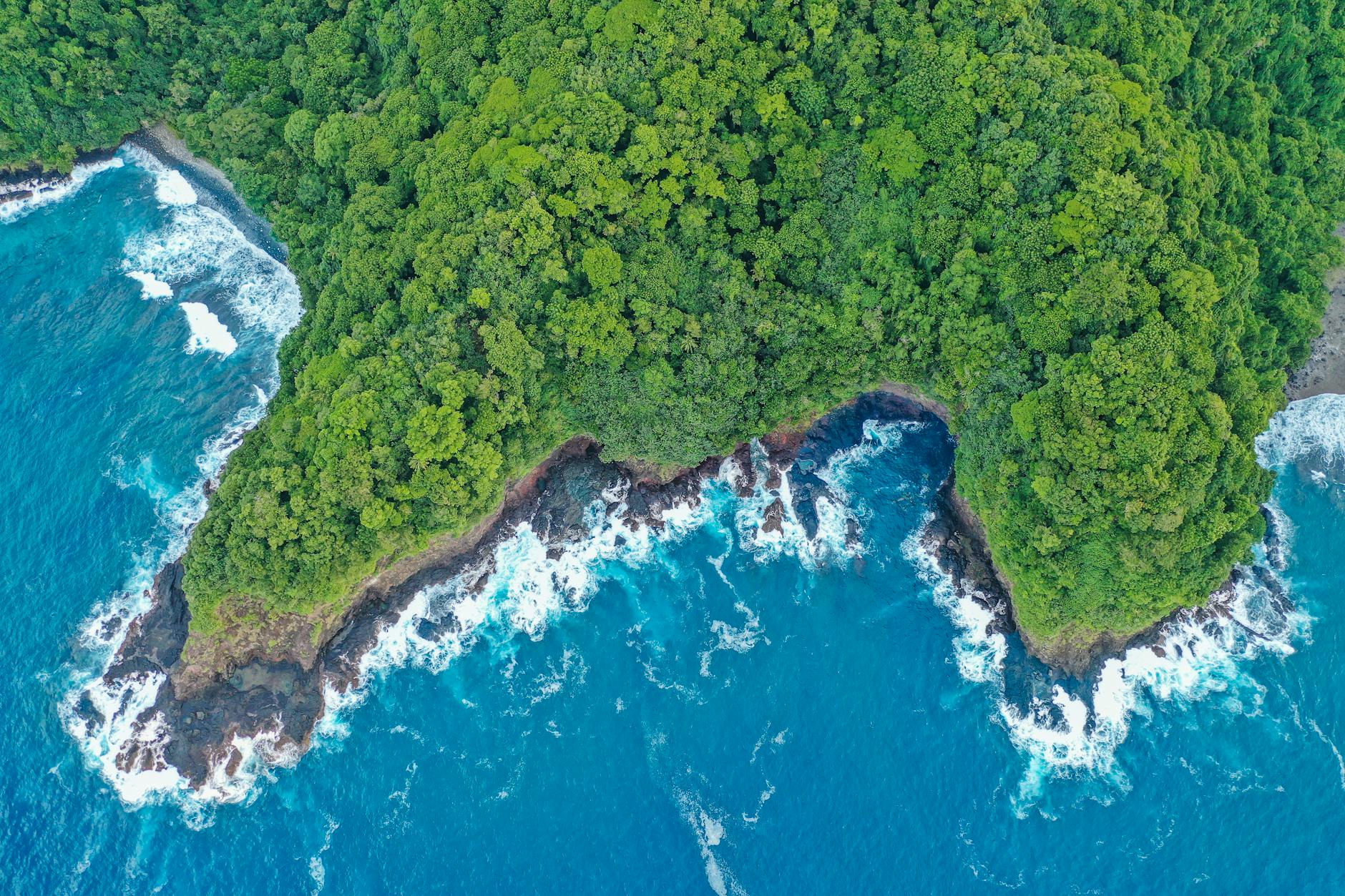 Samoa w 24h tutaj też robimy sesje zdjęciowe oraz Filmy z dronów. Zamów nas na tą lokalizację a my przyjedziemy w 48h.