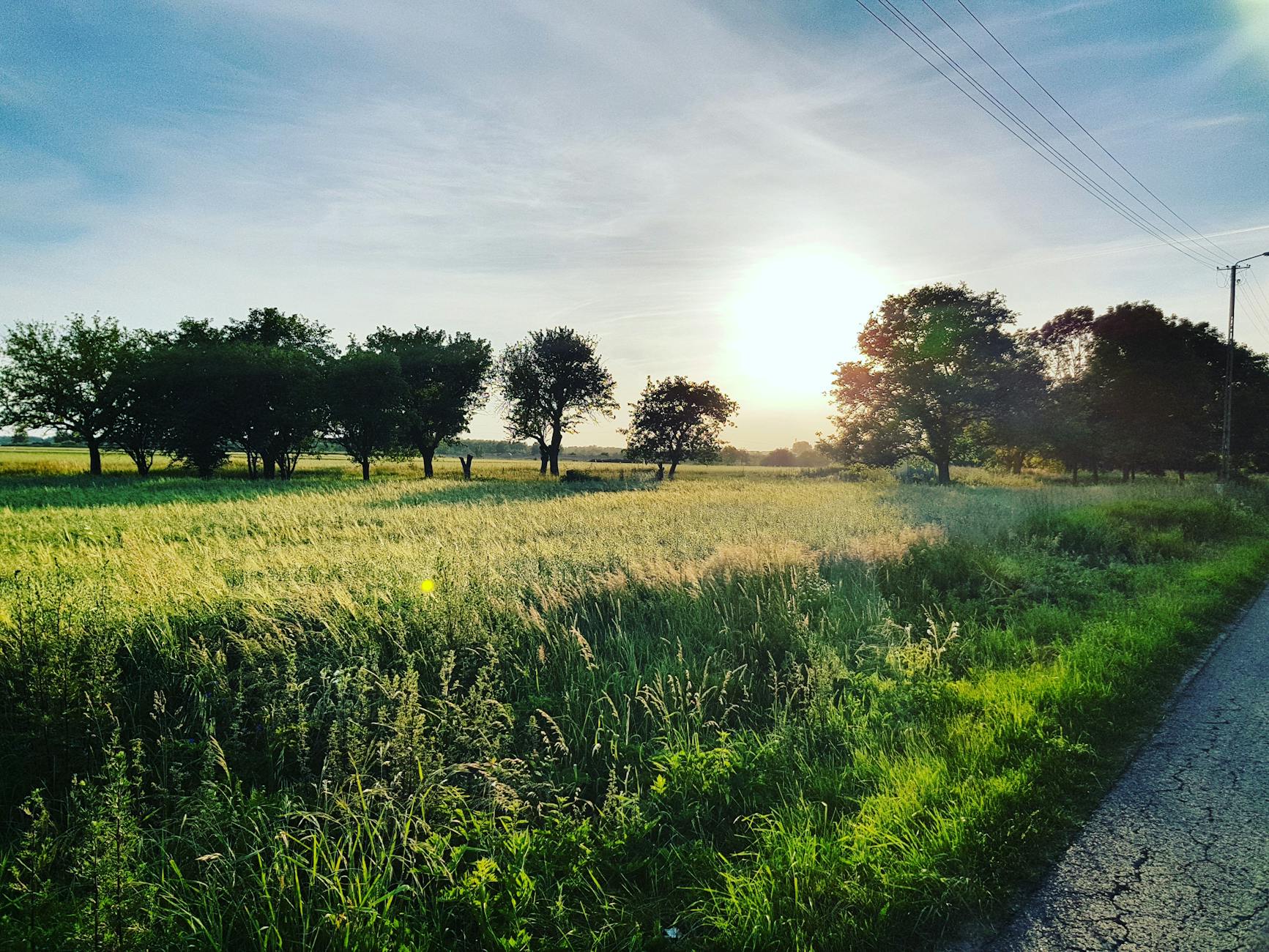 Mysiadło🎥 Filmowanie z drona w Mysiadle i okolicach zamów nasze usługi dronowe w Warszawie.